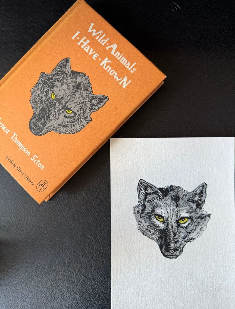 My sketch of Lobo from Wild Animals I Have Known
