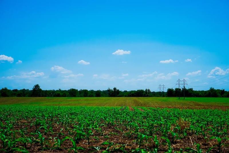 Back in the early 2000s, I was an IT intern at an agricultural engineering facility. I literally worked on a farm. The company did scientific research